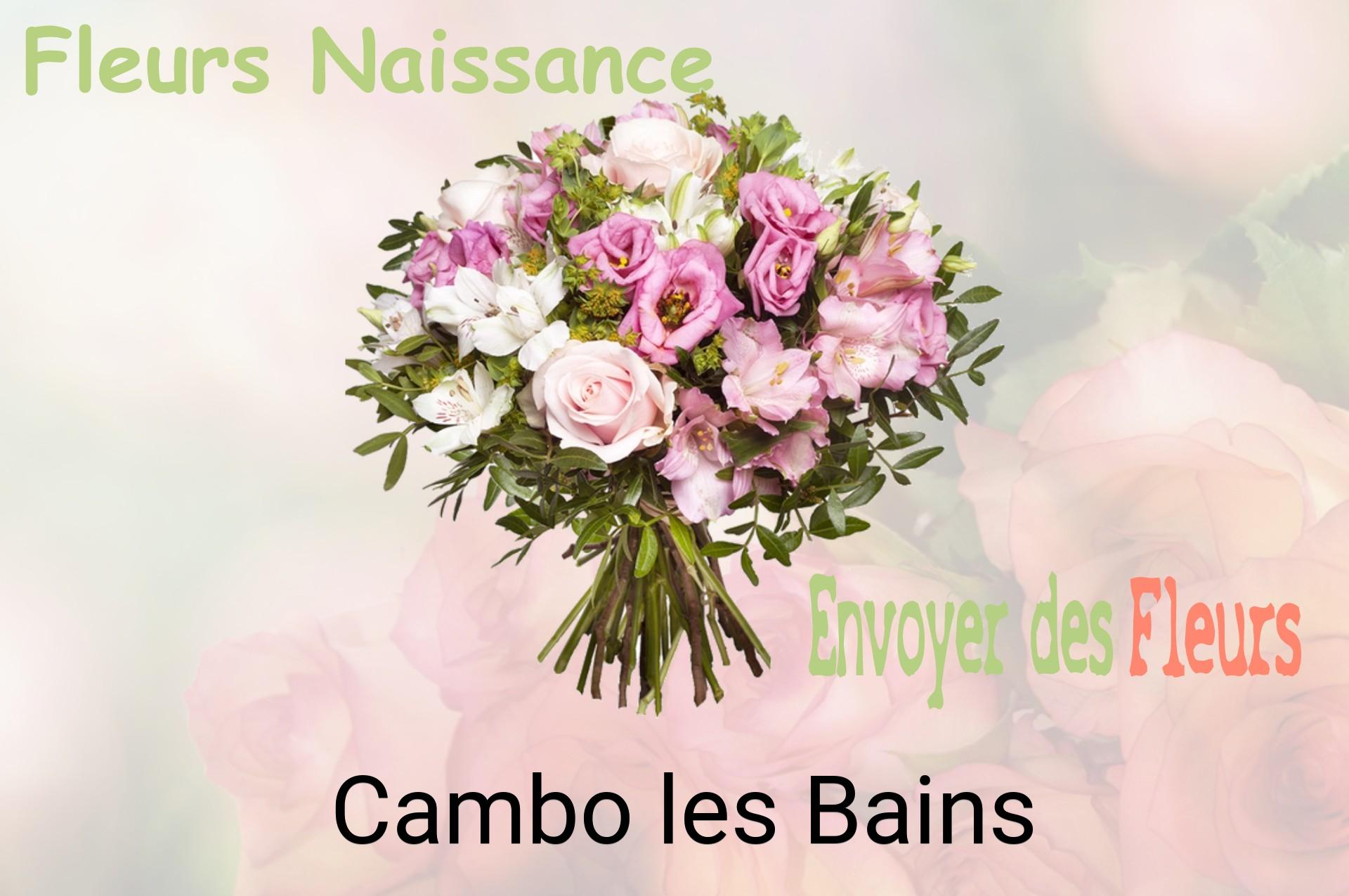 Bouquet de fleurs de naissance livré à Cambo-les-Bains