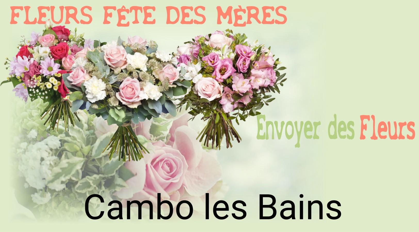 Bouquet de Fête des Mères livré à Cambo-les-Bains